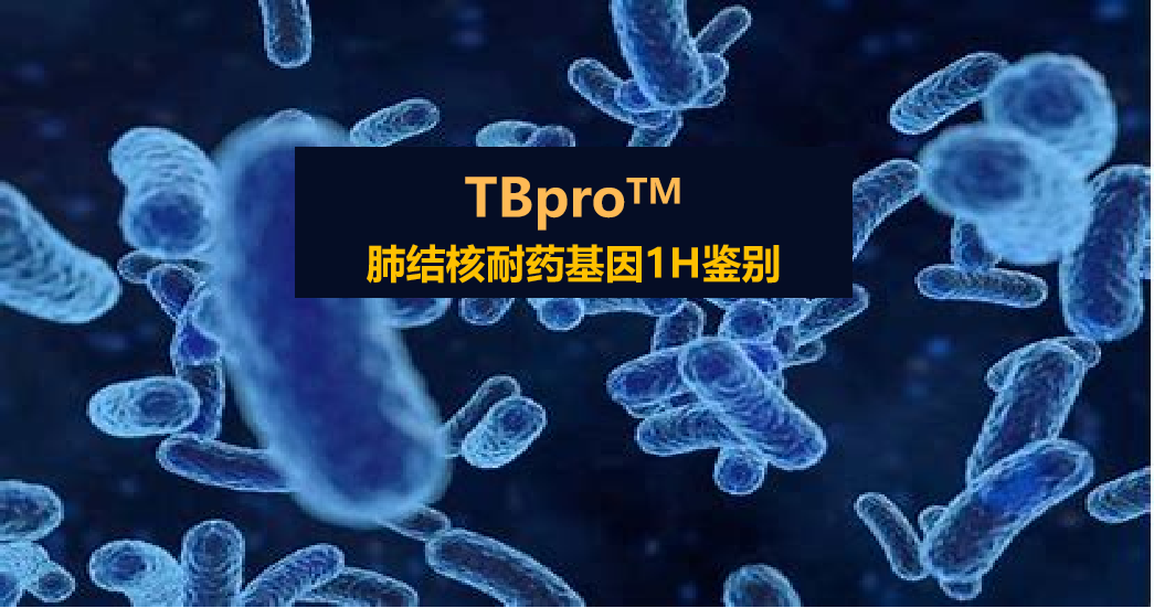 TBpro，结核菌耐药谱