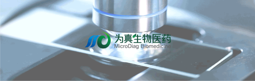 王莹院长领衔，王弢博士技术负责的研发项目获浙江省2024年度“尖兵”“领雁”研发攻关计划项目立项